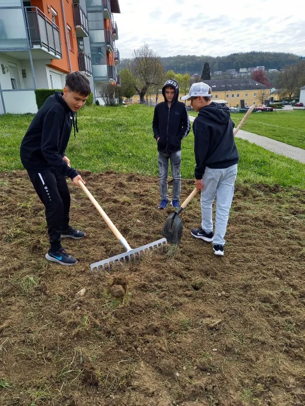Insekten sind in