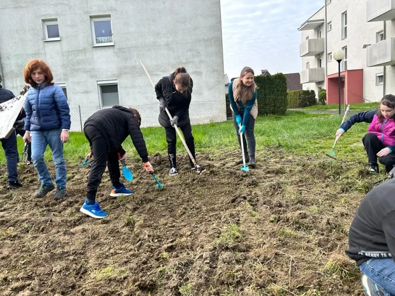 Insekten sind in