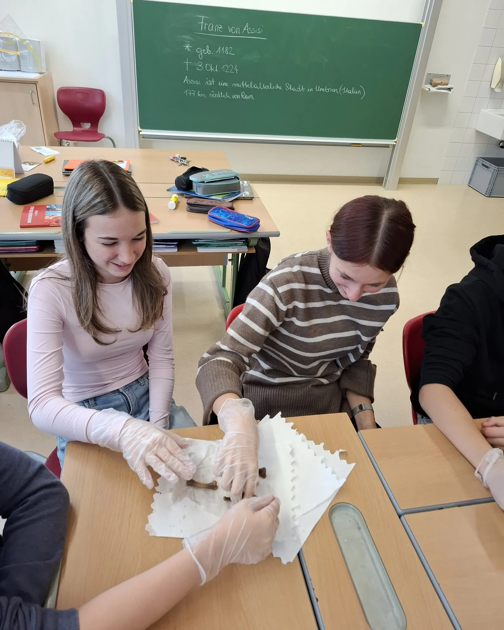 Experiment: Schweineknochen sezzieren, Hühnerknochen in Essig einlegen