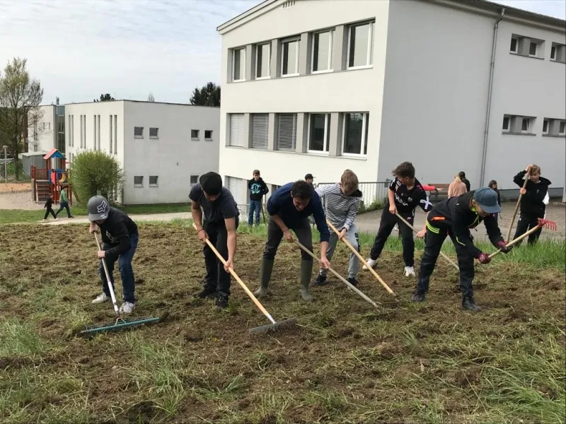 Insekten sind in