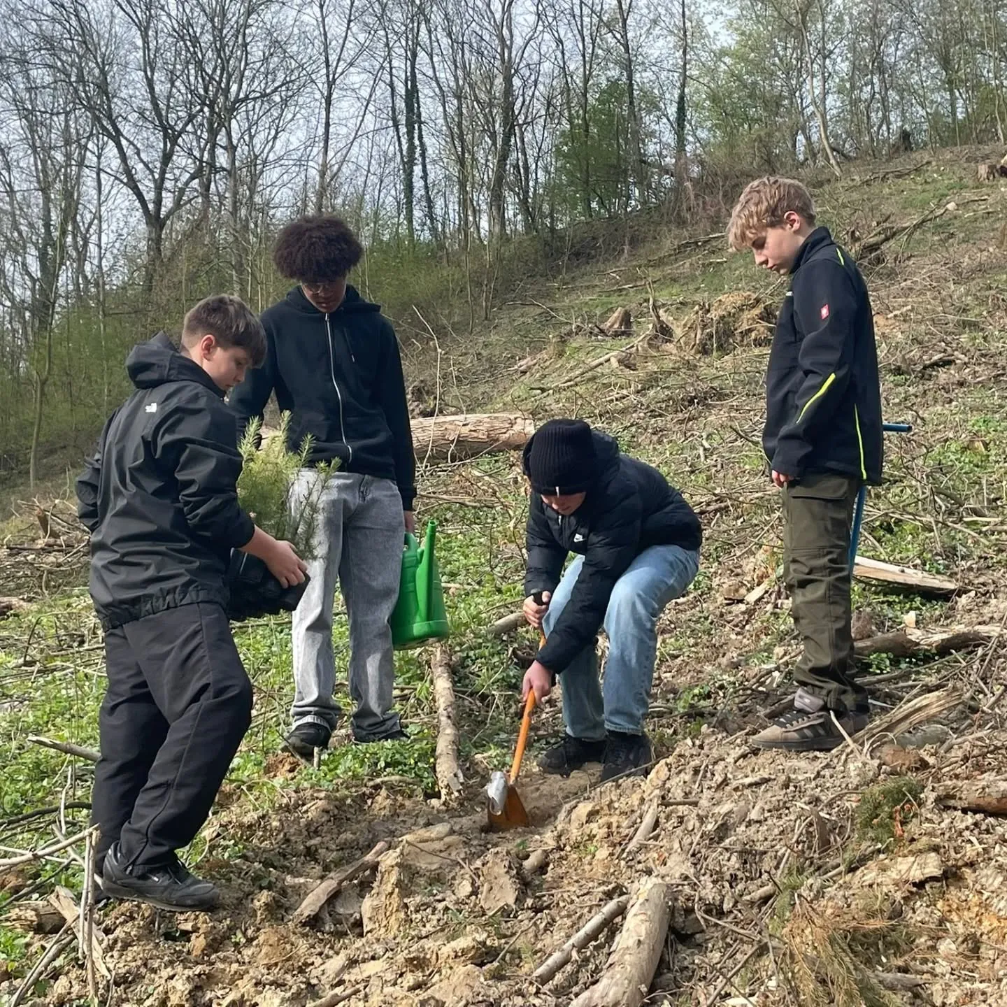 Schüler:innen pflanzen Bäume