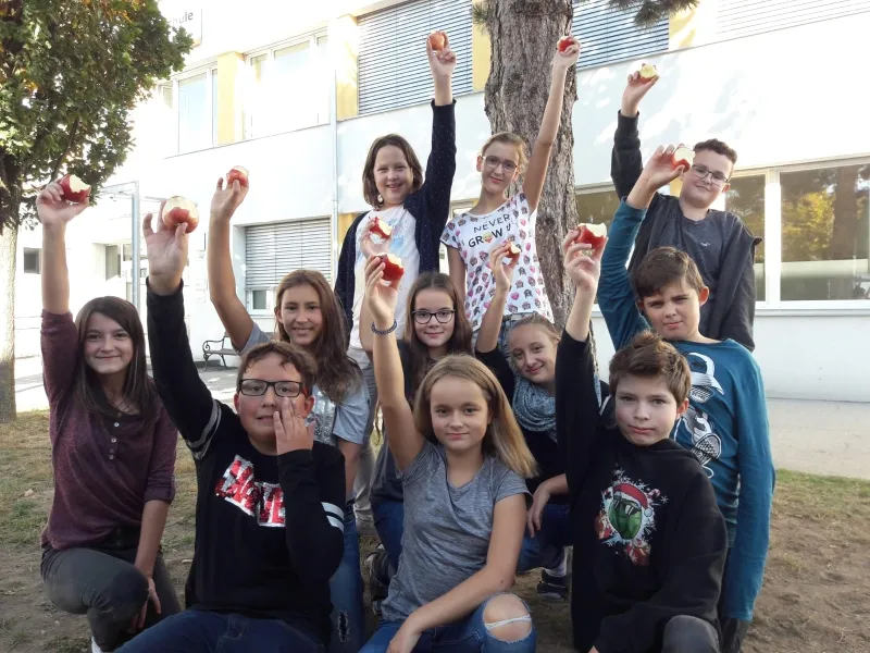 Gesunde Schule OÖ